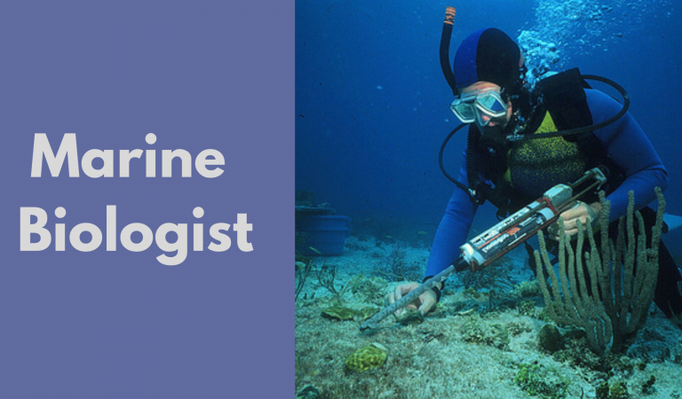 Marine Biologist Salary In USA