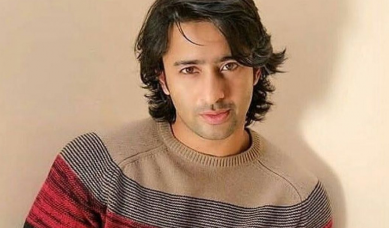 Shaheer Sheikh Net Worth 2022: Age, Height, Cars, Salary, Houses, Assets, Relationships, Career, and many more