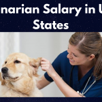 Veterinarian Salary in United States