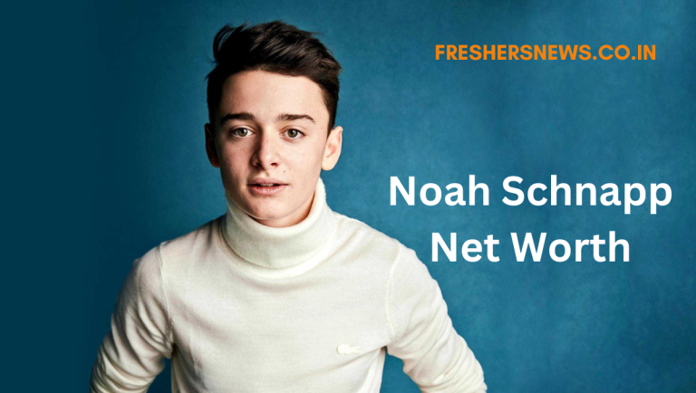 Noah Schnapp Net Worth