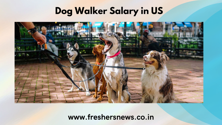 Dog Walker Salary in US
