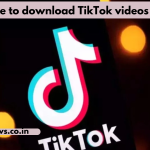 Guide to download TikTok videos free 