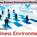 How does Business Environment affect Business