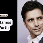 John Stamos net worth
