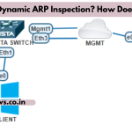 What is Dynamic ARP Inspection? How Does it Work
