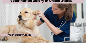 Veterinarian Salary in United States