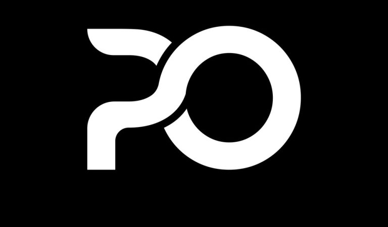 What is the full form of PO?