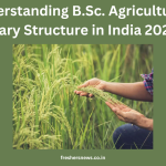 B.Sc. Agricultural Salary Structure