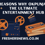 Top 10 Reasons Why OKPunjab Is the Ultimate Entertainment Hub