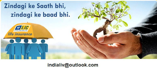  Life Insurance Corporation  of India (LIC)