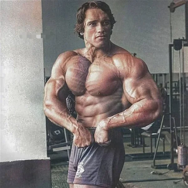 Arnold Schwarzenegger